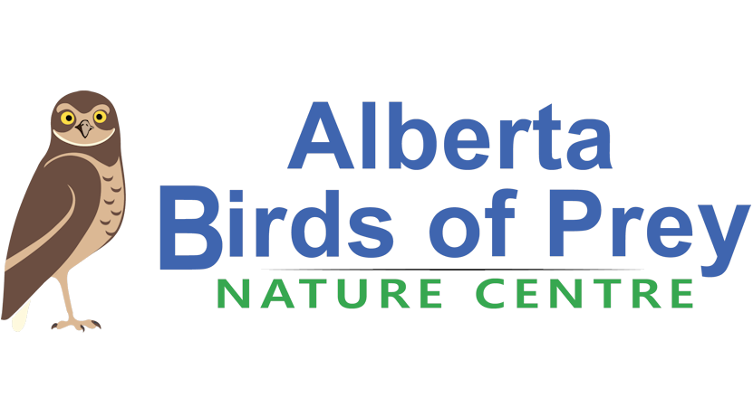 Alberta Birds of Prey Centre - Photo Journeys