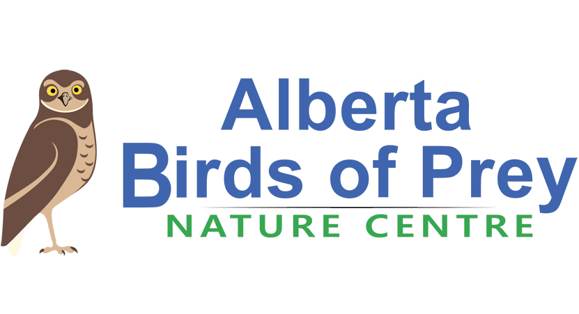 Southern Alberta Adventures: Discovering the Birds of Prey Centre -  Time.Travel.Trek.