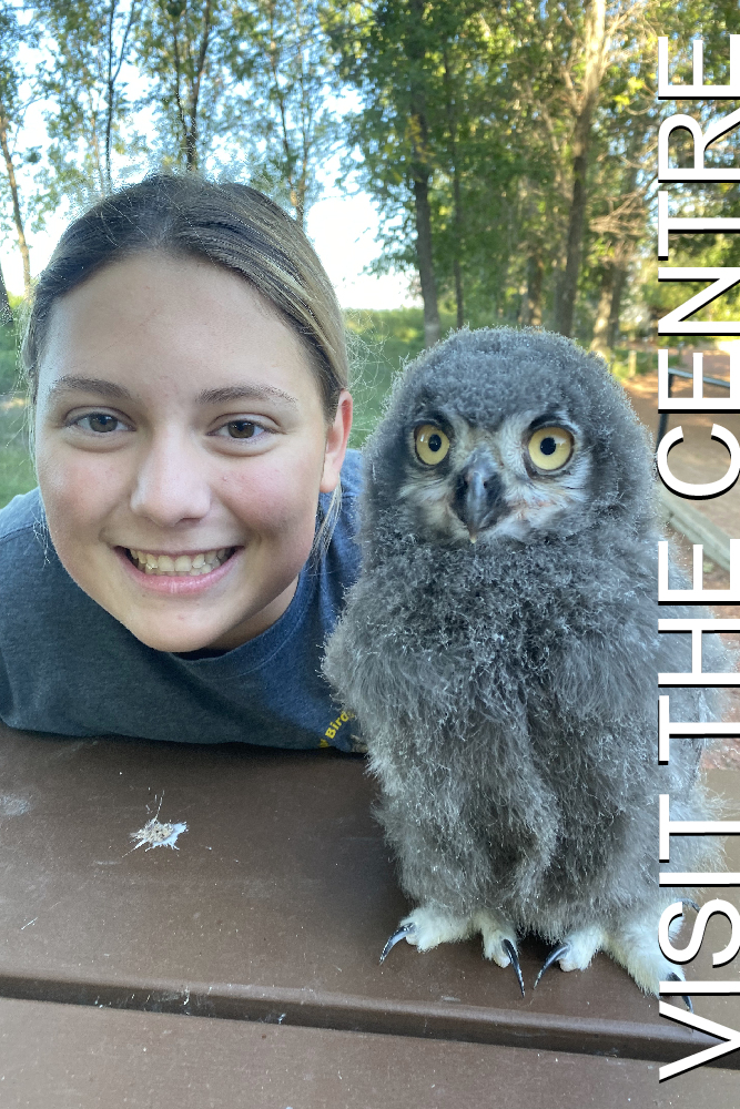 Alberta Birds of Prey Centre - Photo Journeys